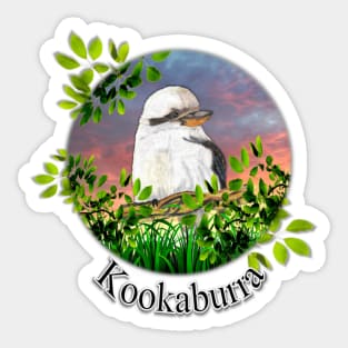 Kookaburra Sticker